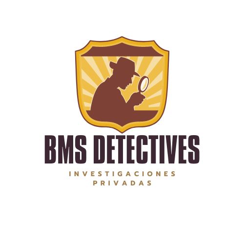 BMS DETECTIVES